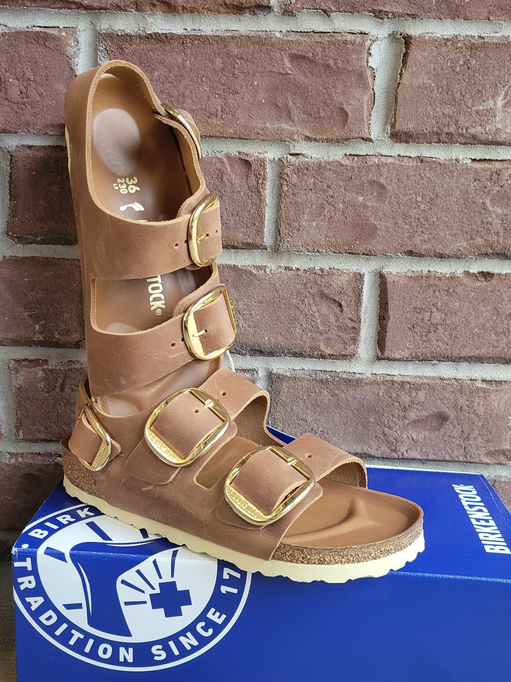 Birkenstock Milano Big Buckle Sandals Size 36 Narrow NWT